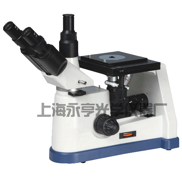 ���ý����@΢�R5XB