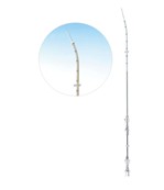 ��̥��ֲ��