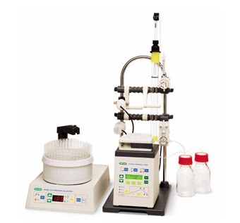 ����Econo�ݶȽM�ϱ�