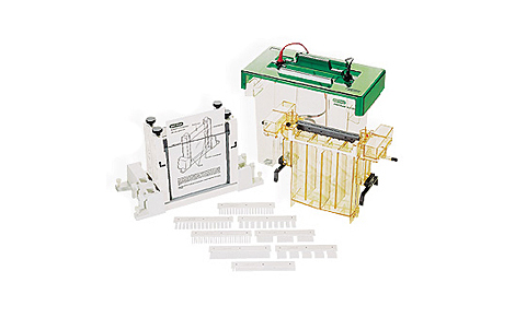 ����(l��)PROTEAN&reg; II xi��XL��ֱ�Ӿ��