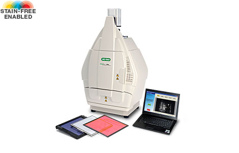 ����ChemiDoc™XRS+���`���Ȼ��W(xu��)�l(f��)�����ϵ�y(t��ng)