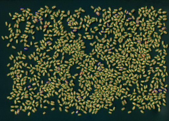 С�����^Ʒ�|(zh��)������������Ǚz�y�xSC-X��